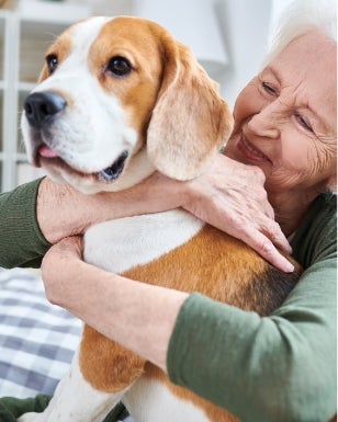 Senior Pet Care in Lakewood Ranch, Florida