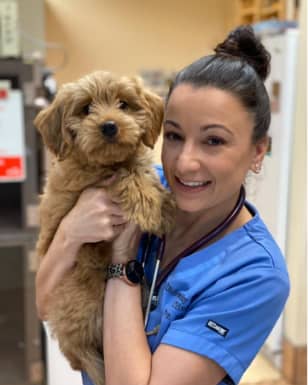 Pet Wellness Plans in Lakewood Ranch, Florida