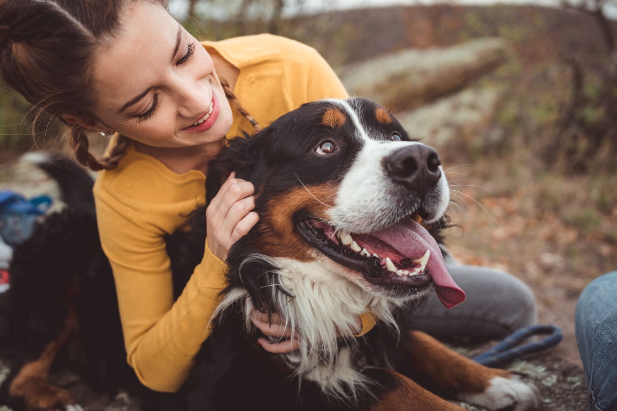 The Dangers Of Walking Your Pet Outside In The Summer Heat
