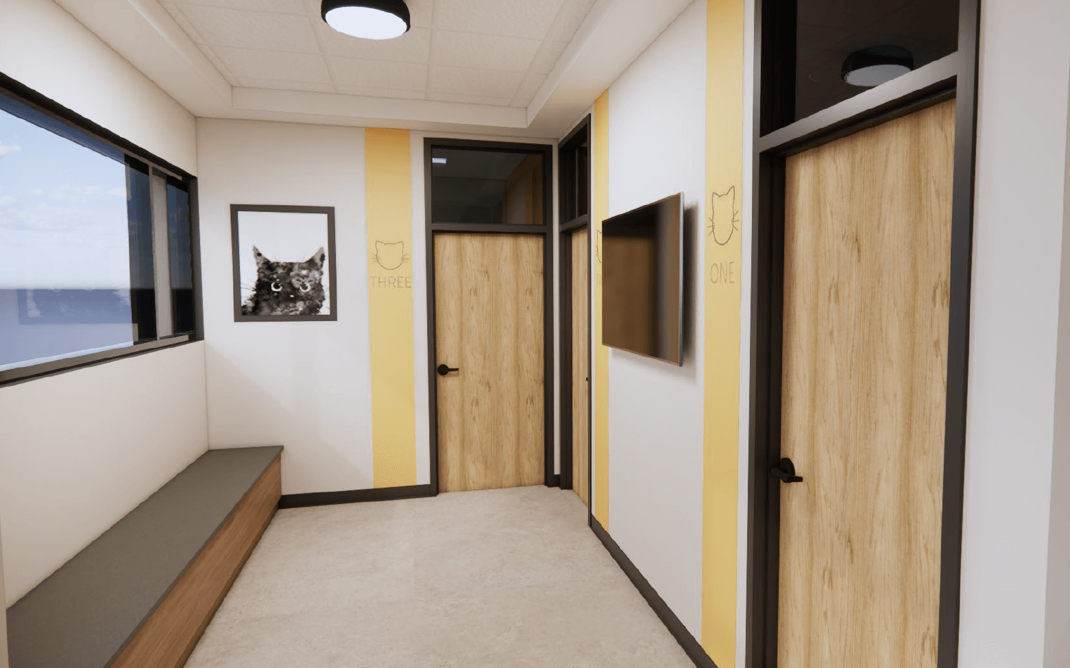 Cat hallway
