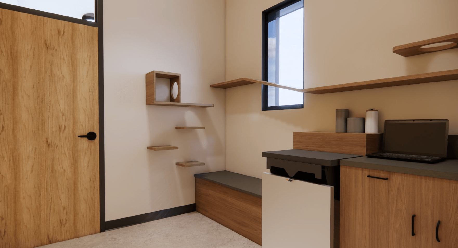 Cat exam room