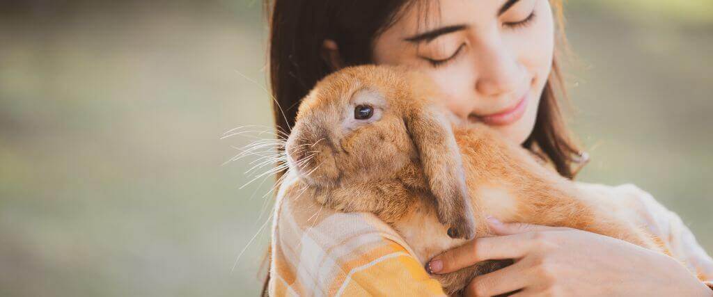 Hop Into Rabbit Care: A Comprehensive Guide for Bunny Owners