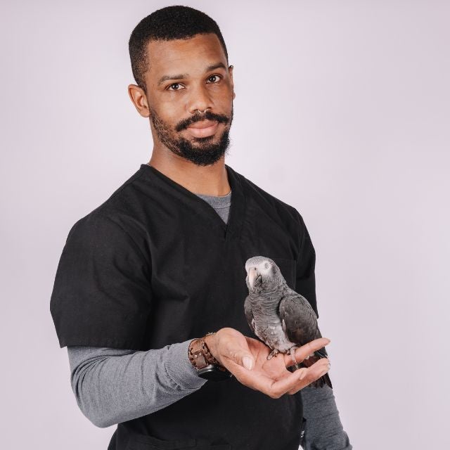 Rayshaud Holloway
