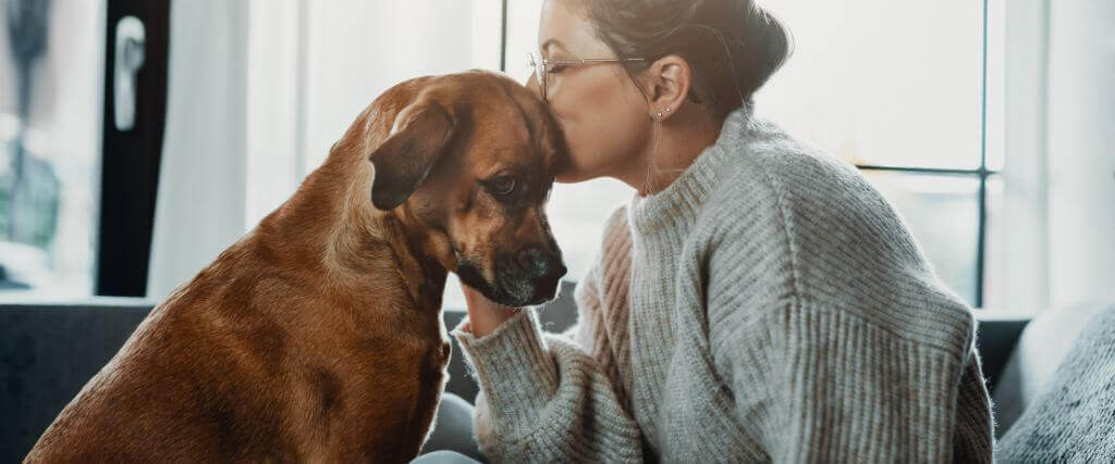 Boarding Your Pet at The University Animal Clinic