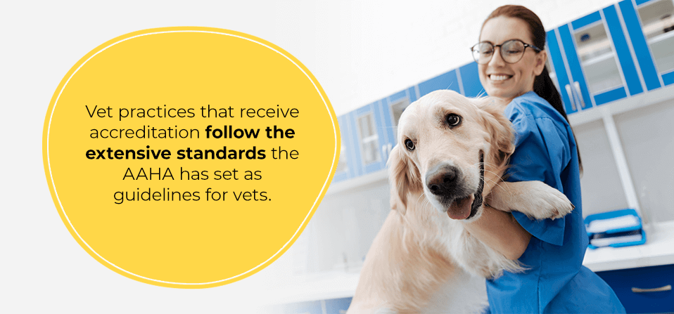 Vet-practices-that-receive-accreditation