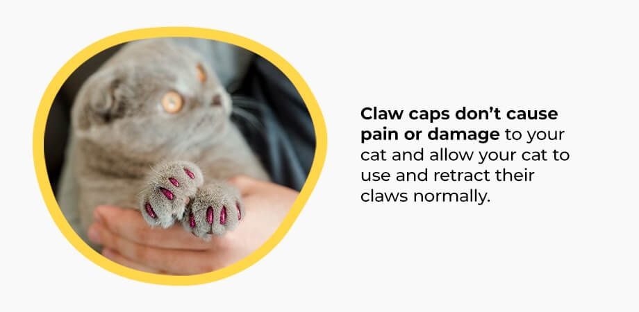 Claw-caps-for-cats