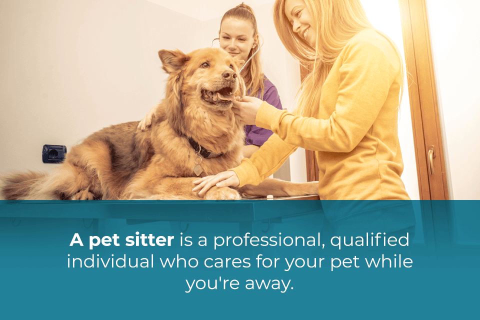 Hire-a-Pet-Sitter