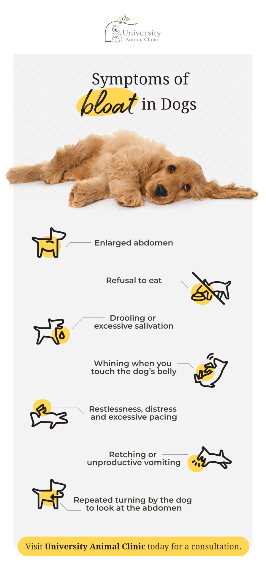 MG-symptoms-bloat-dogs