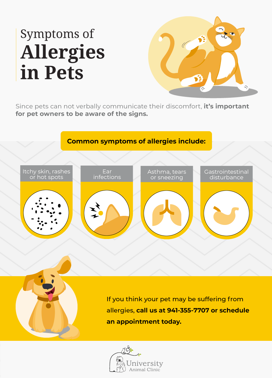 Symptoms-of-Allergies-in-Pets