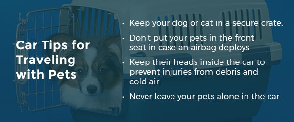 car-tips-for-traveling-with-pets