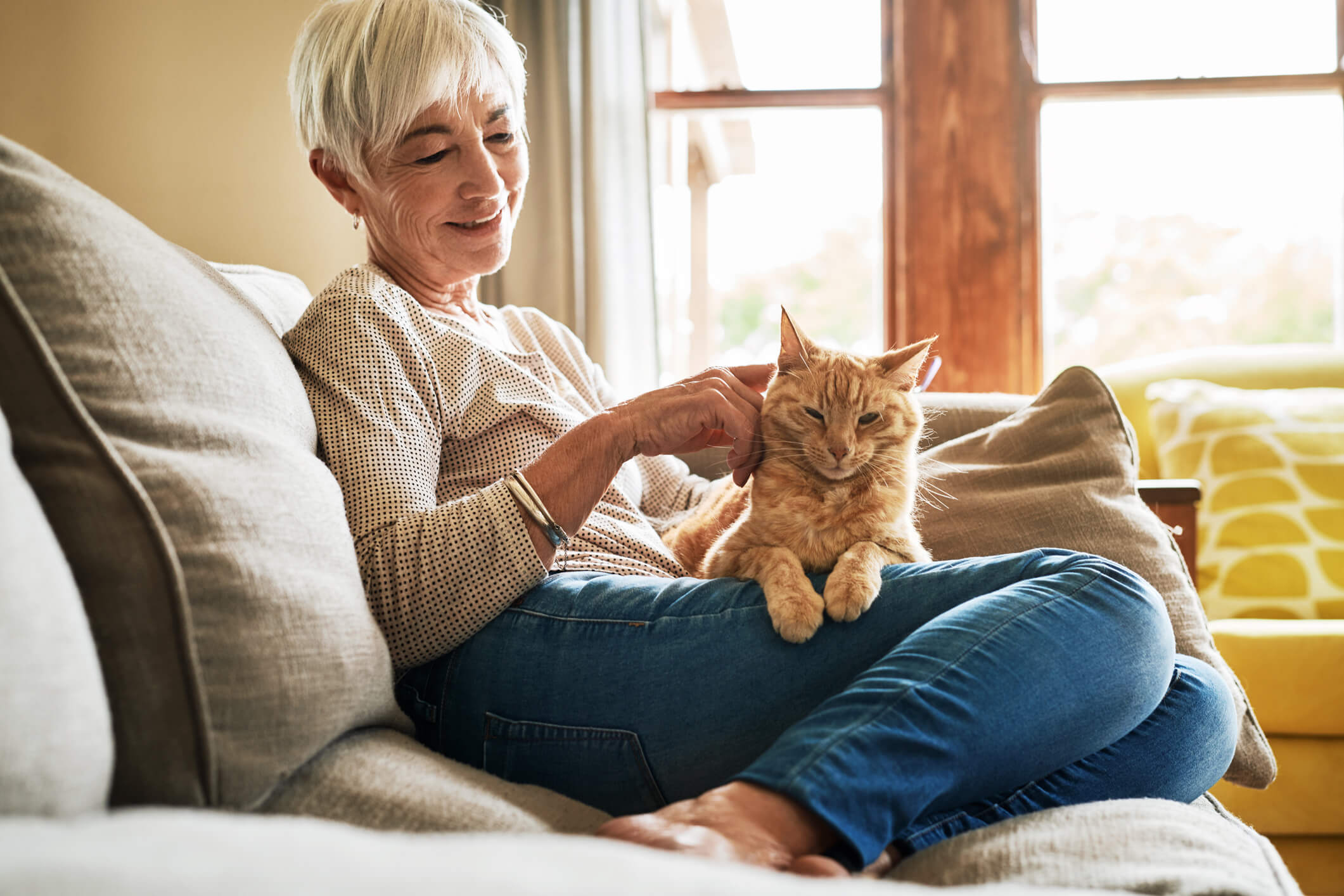 Cat Owner On Couch