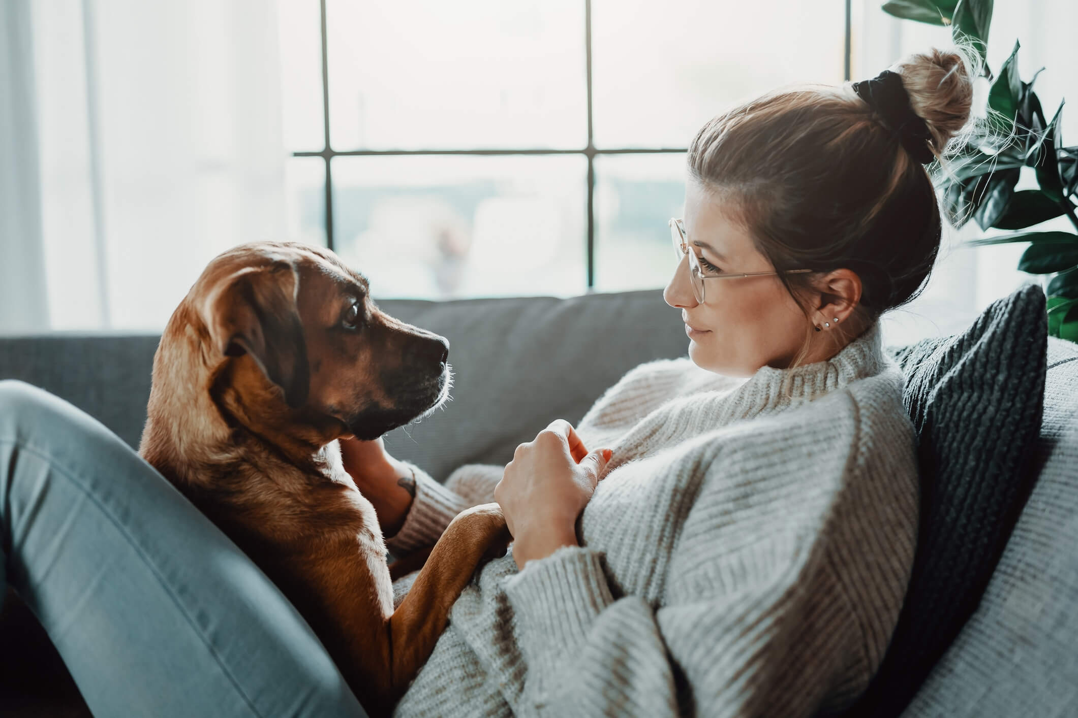 cute-dog-cuddling-owner-on-couch