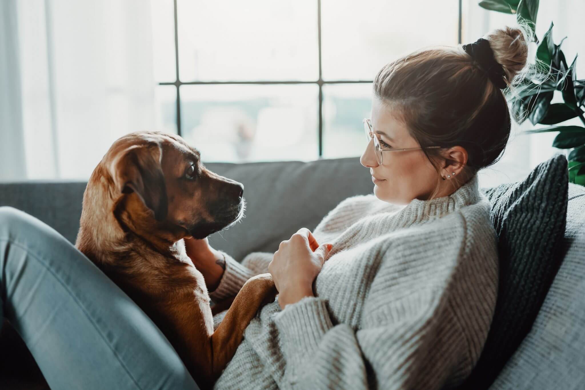 cute-dog-cuddling-owner-on-couch