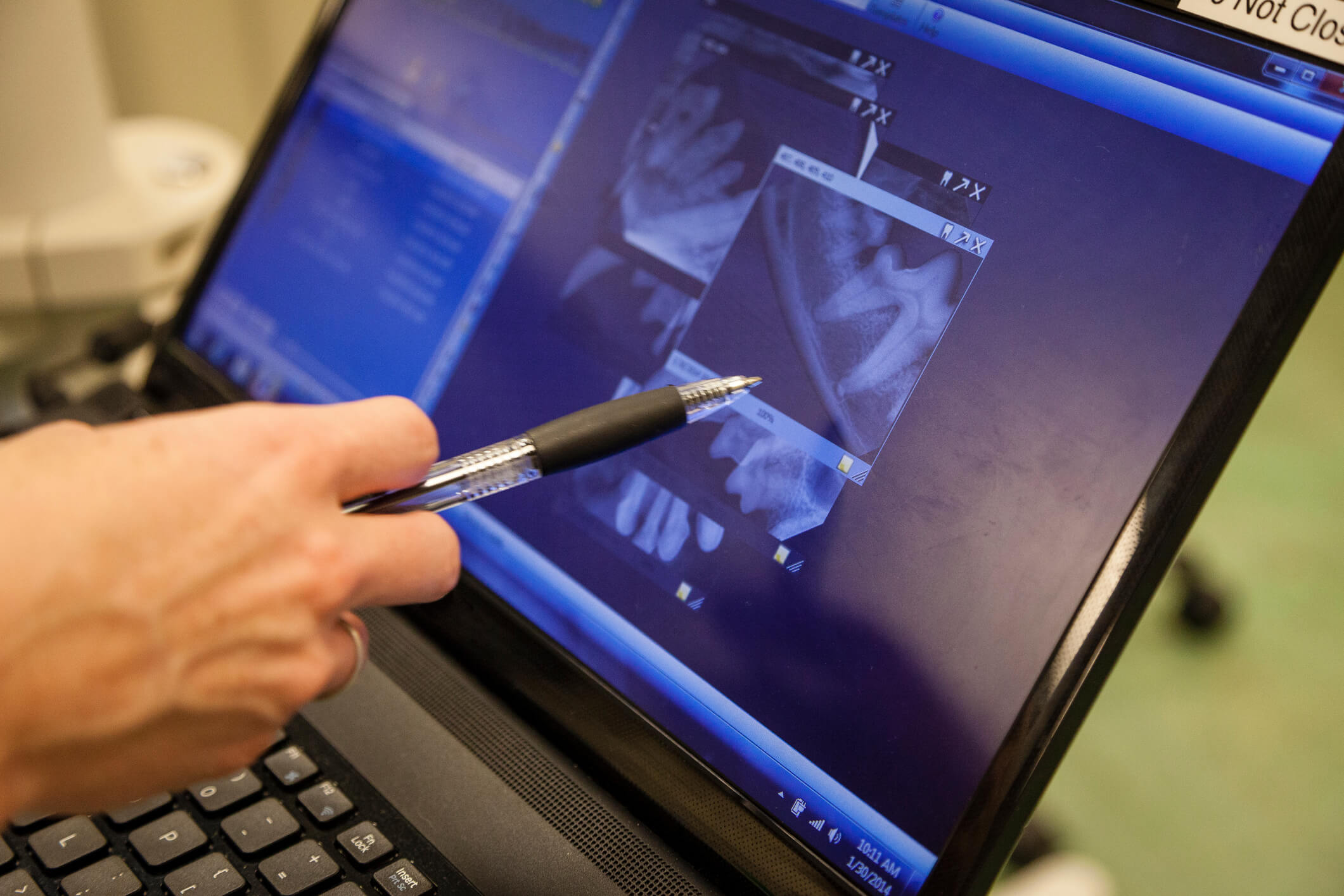 Dental Xray For Dog