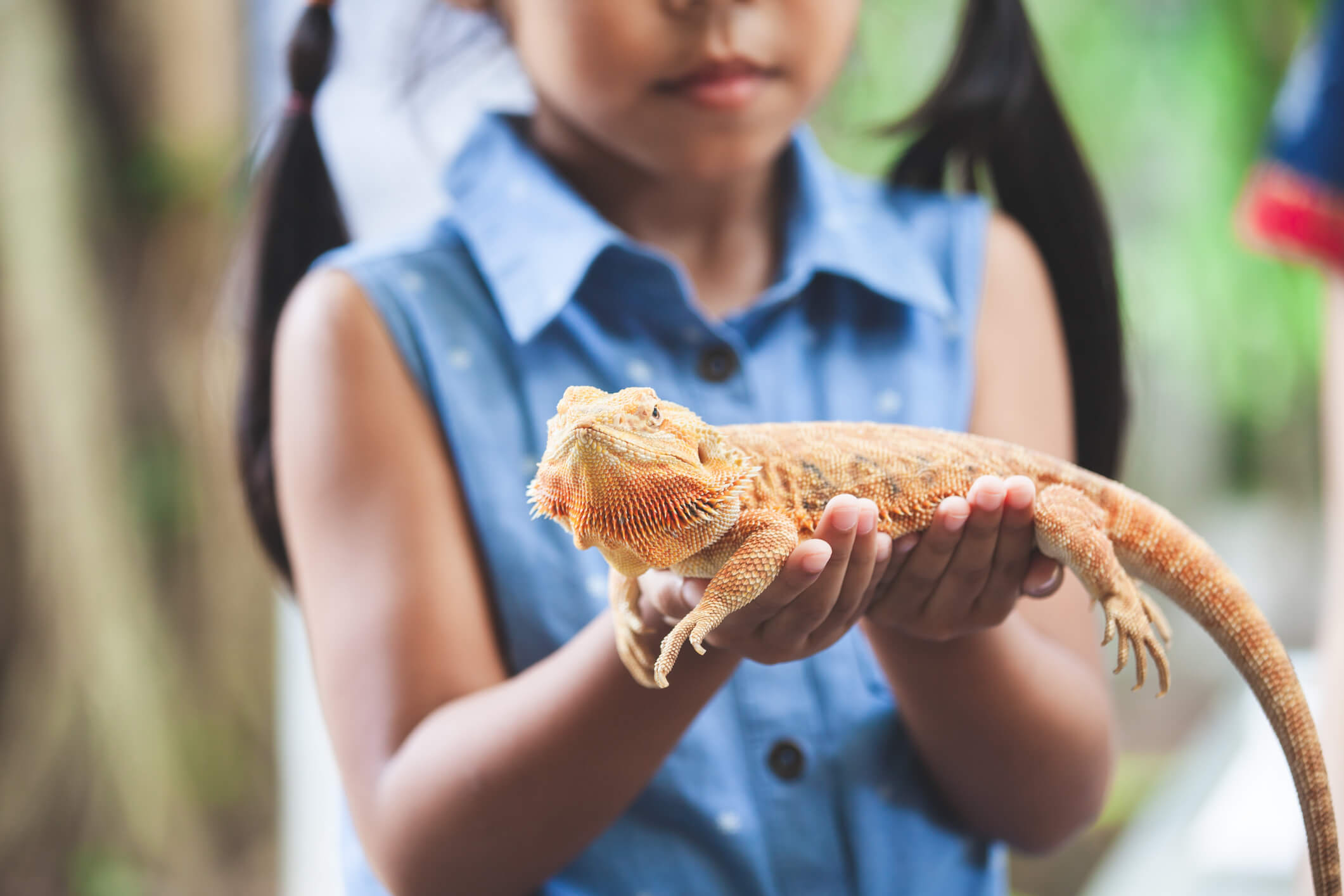 girl-with-pet-lizard