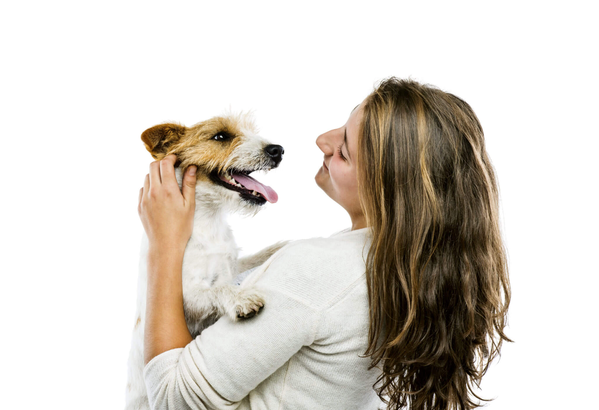 graphicstock-young-woman-holding-her-cute-parson-russell-terrier-dog-isolated-on-white-background