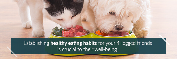 healthy-eating-habits-for-pets