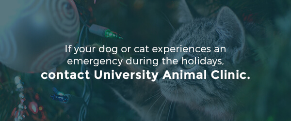 holiday-pet-emergency