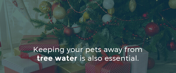 keep-pets-away-from-christmas-tree-water