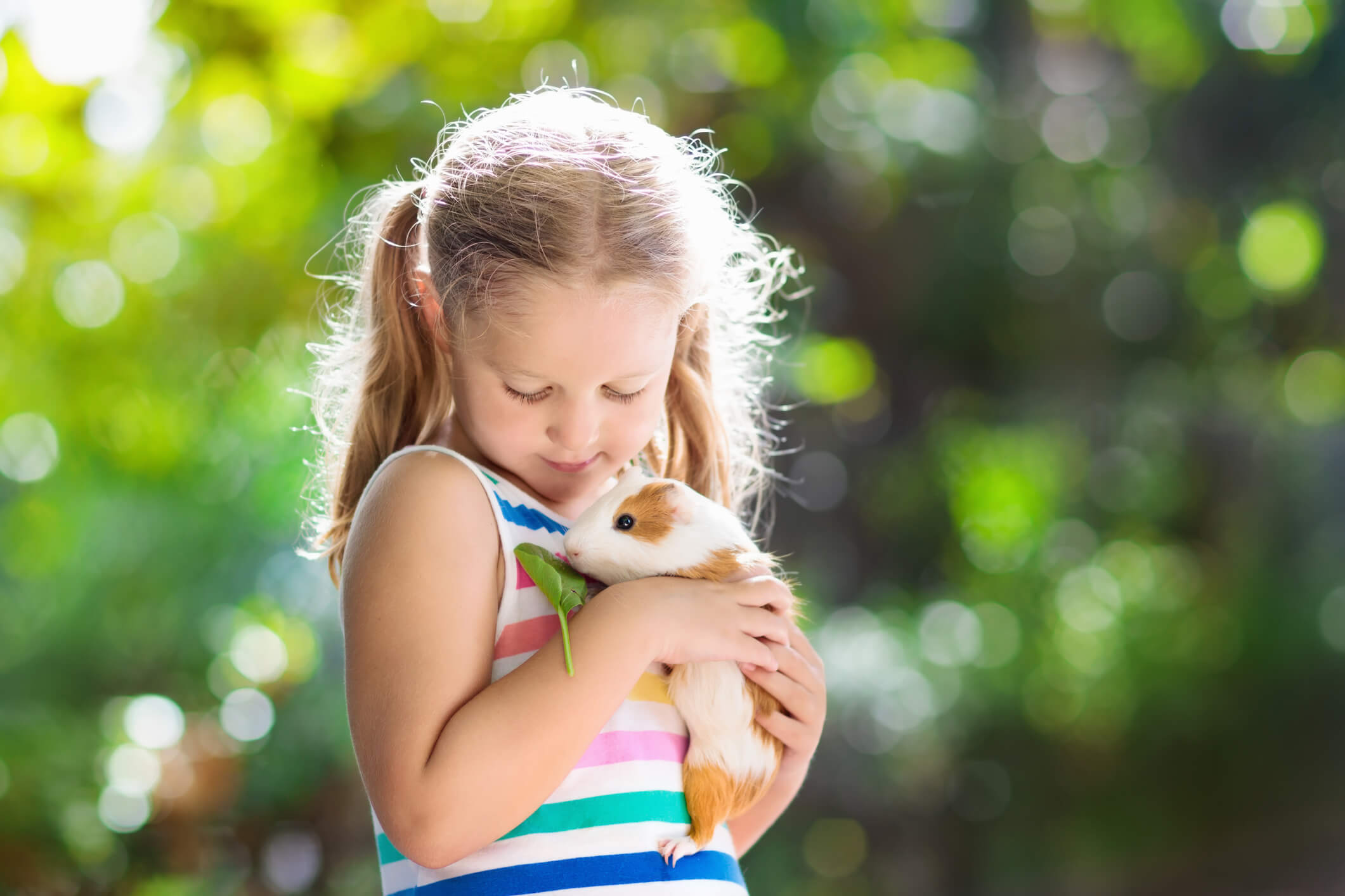 little-girl-with-pet-guinea-pig