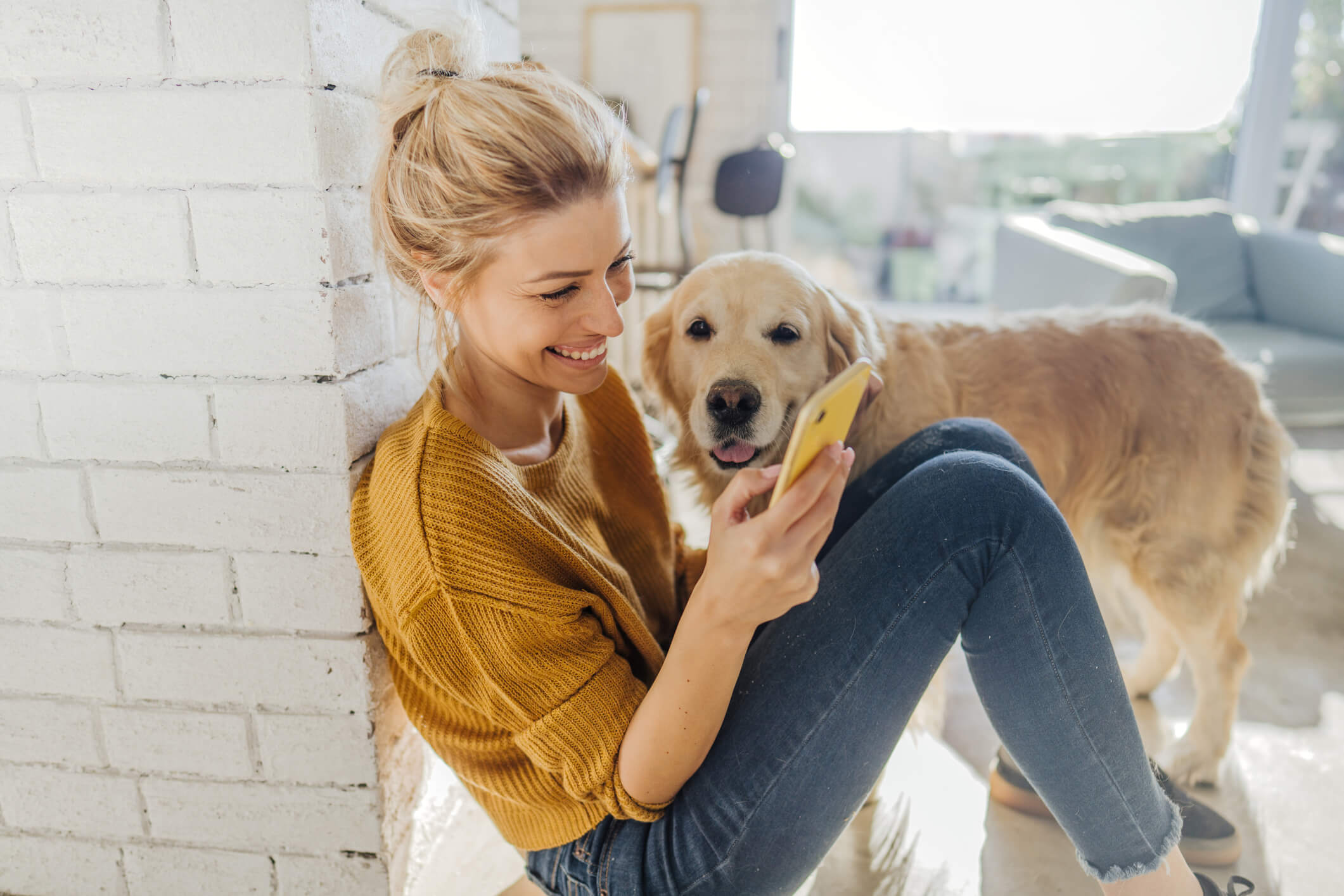 Owner On Phone With Dog