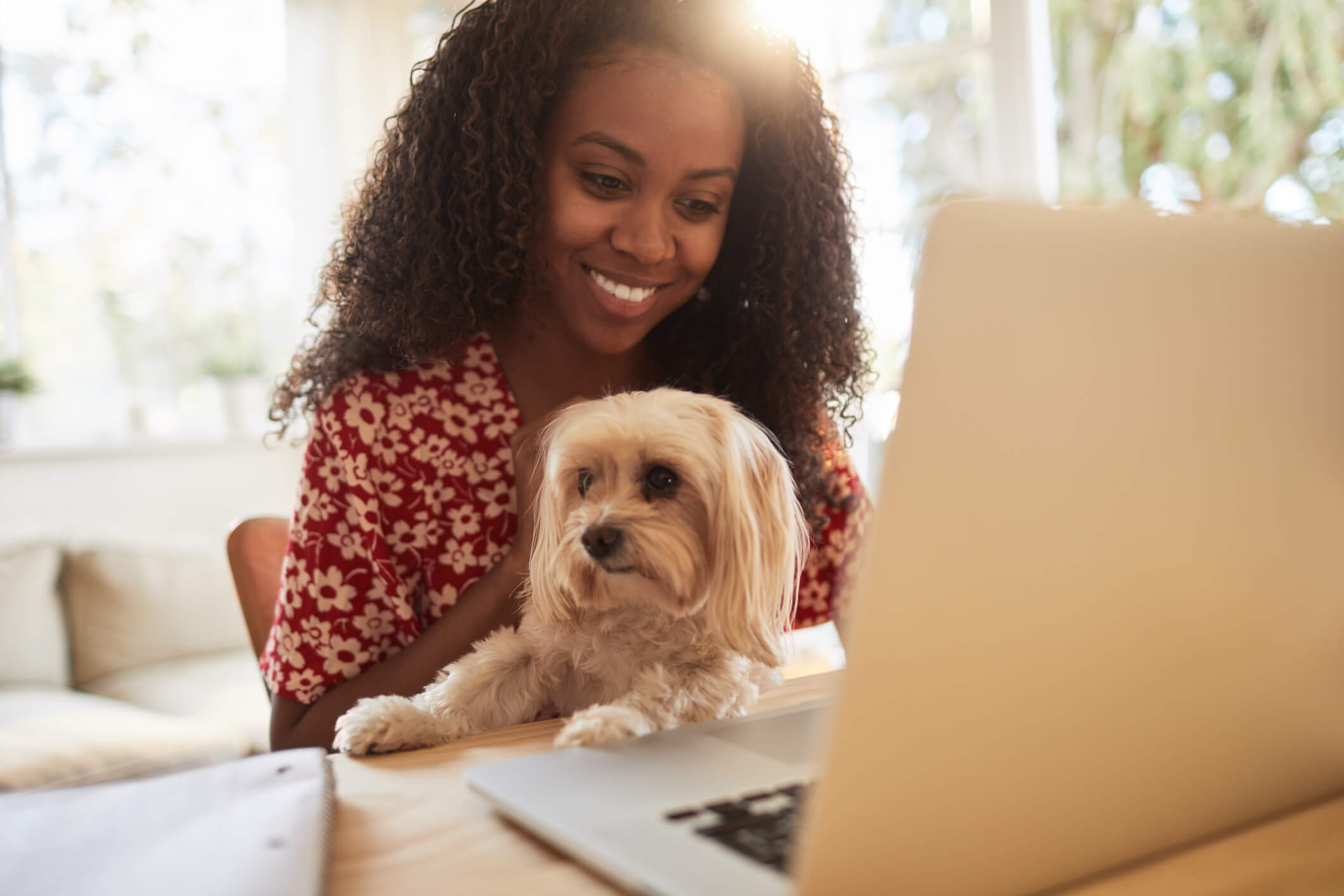 Owner with Dog on Laptop