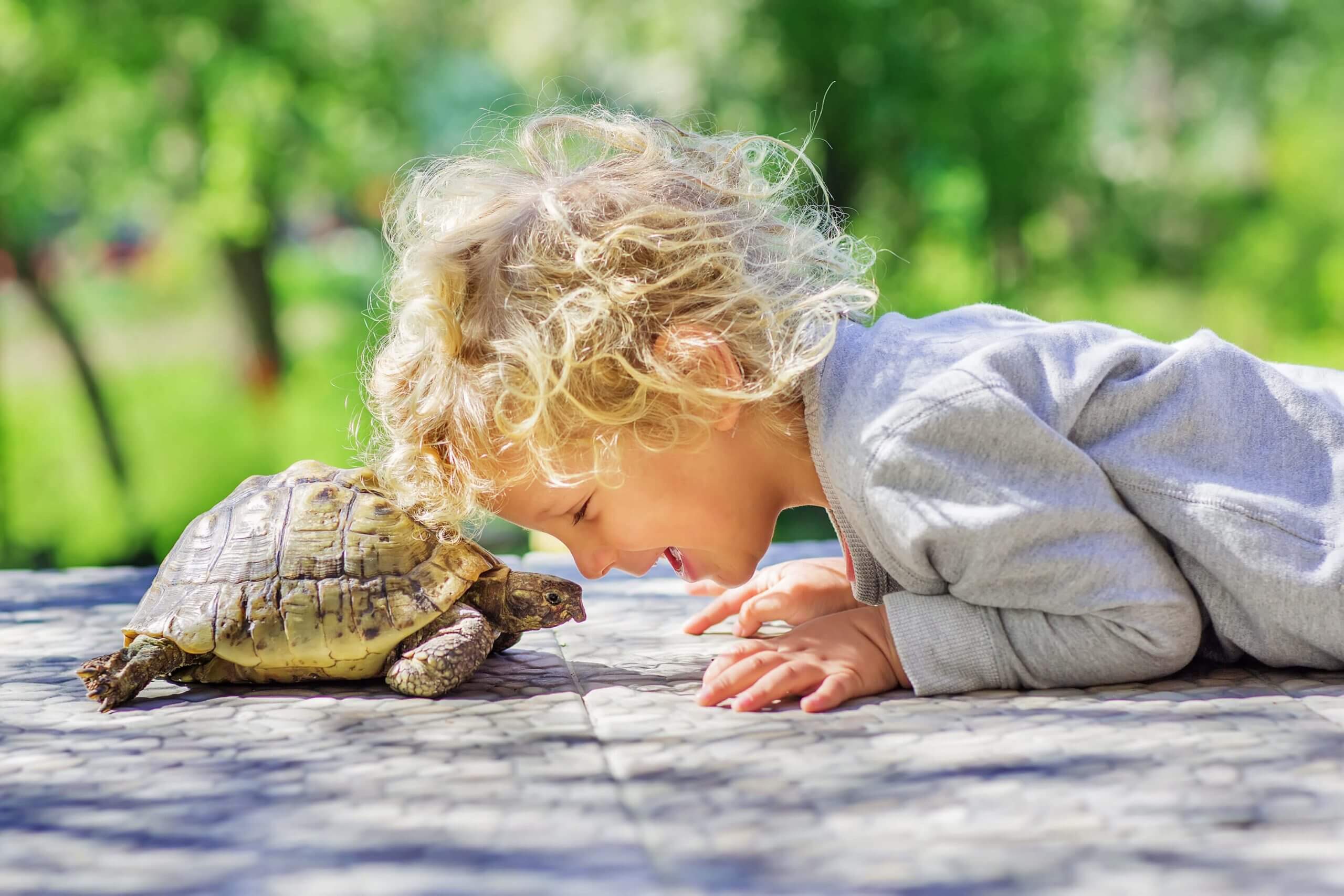 pet-turtle-with-boy