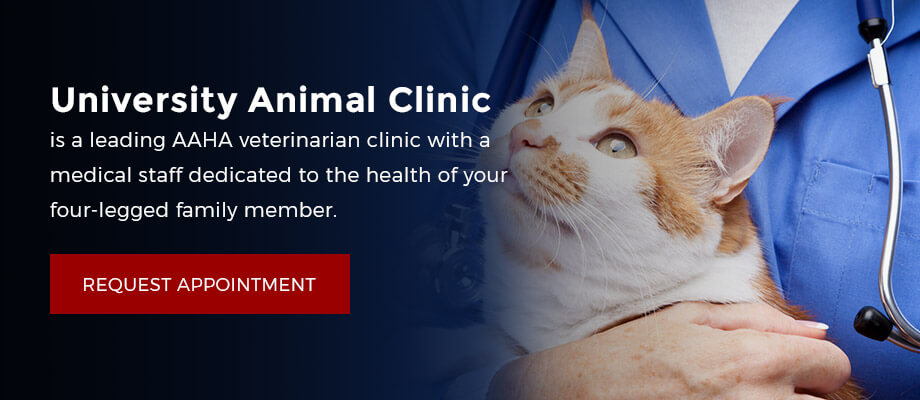 request-an-appointment-at-university-animal-clinic
