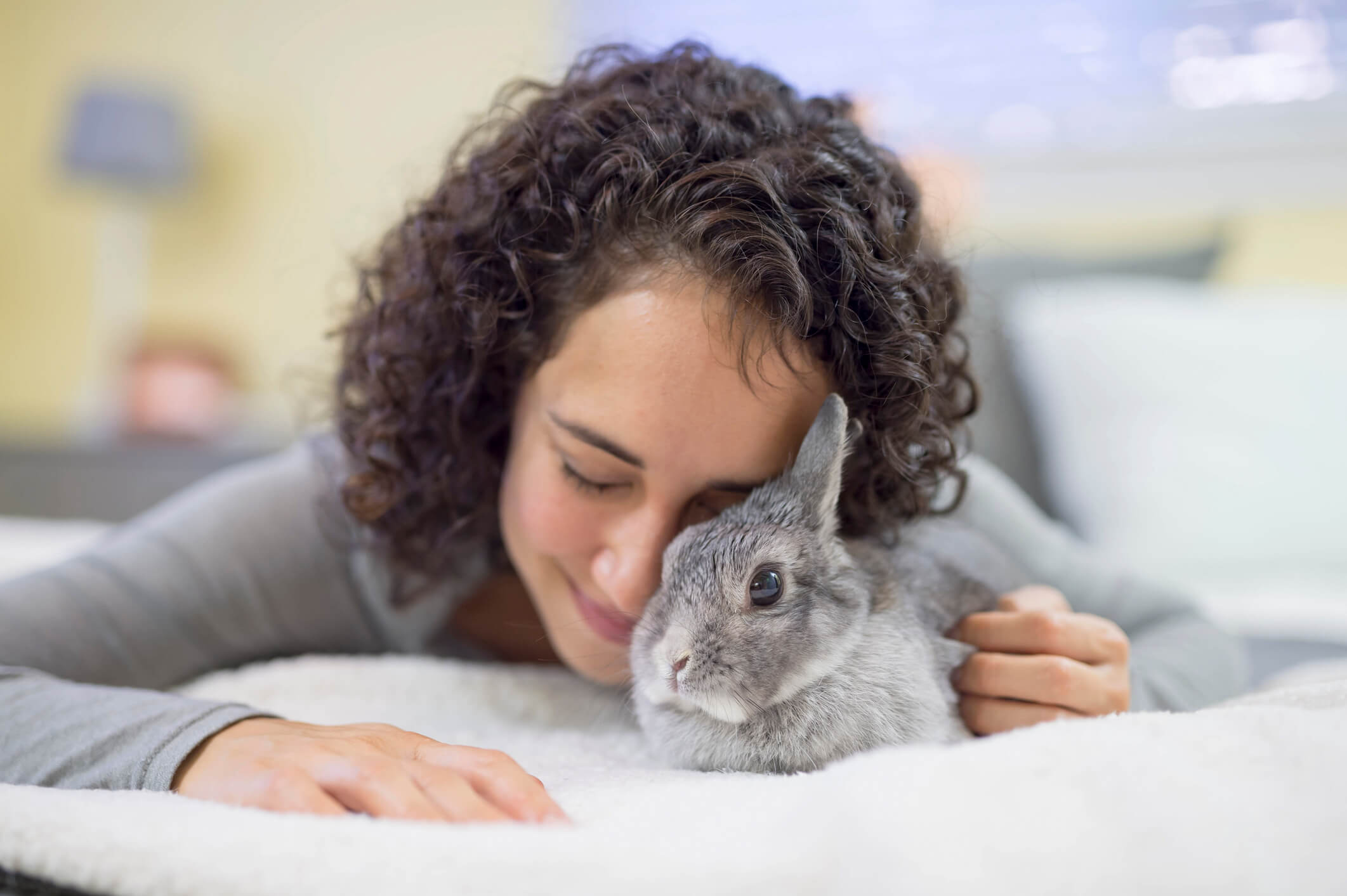 snuggly-rabbit-with-owner