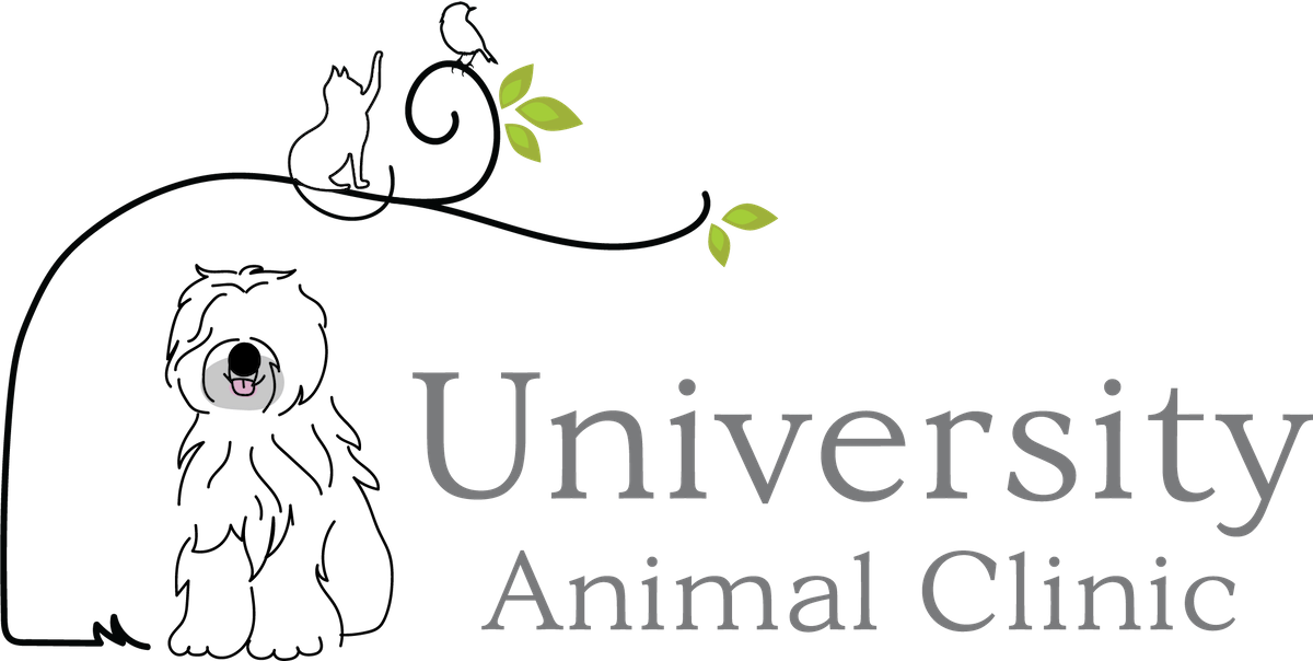 University Animal Clinic